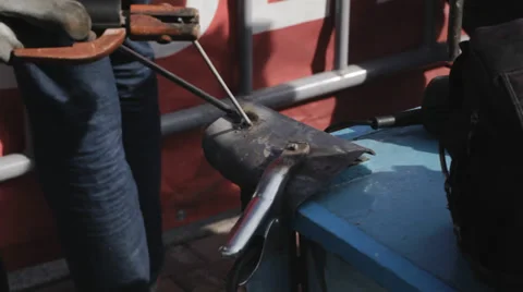 Welder at work Stock Footage 29668218