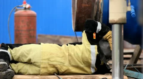 Welding Stock Footage 10872554