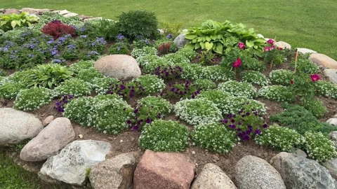 A well-designed home garden in the backyard showcases natural landscaping Stock Footage 302963200