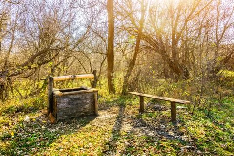 Well-draw in forest Stock Photos