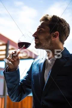 Well dressed man tasting glass of wine at winefarm Stock Photos
