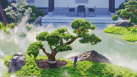 Well growth pine tree in back yard of chinese style of courtyard house Stock Footage 168603106