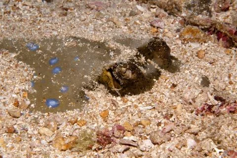 Well hidden in the seabed Stock Photos