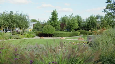 Well-kept garden with trimmed hedges and diverse ornamental plants Stock Footage 318787553