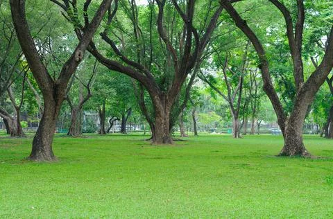 A Well Kept Park Stock Photos