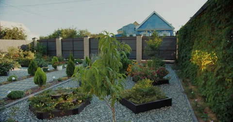 Well-maintained backyard with raised beds and ornamental trees Stock Footage 313743608