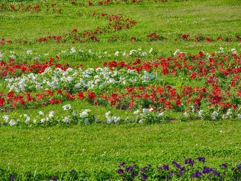 A well-maintained city park landscape showcasing vibrant flower beds set wit Stock-Fotos