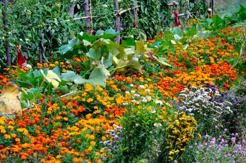 A well maintained garden Stock Photos