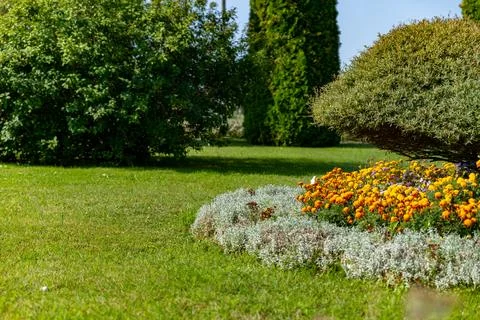 Well-maintained garden, showcasing a harmonious blend of greenery and vibrant Stock Photos
