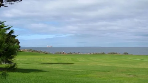 Well-maintained green fresh grass lawn by the sea, people in distance Vídeos de archivo 240480756