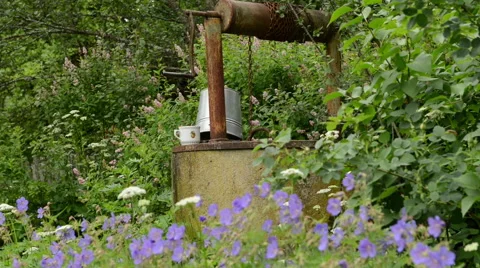 Well in the middle of flowers Stock Footage 60664898