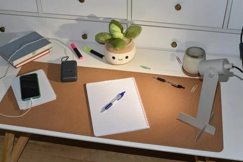 Well-organized desk setup with notebook pens smartphone power bank on cork mat Foto stock