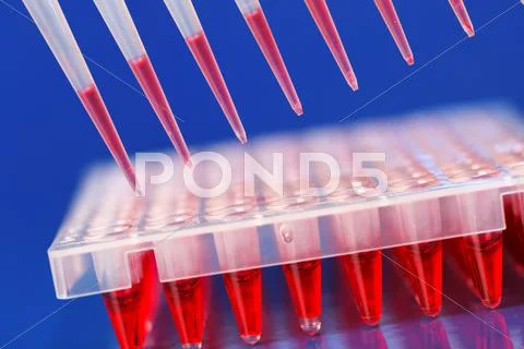 Well plate and multichannel pipette, tools for high throughput dna analysis b Stock Photos
