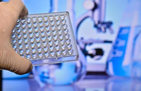 Well plate in the lab. Stock Photos