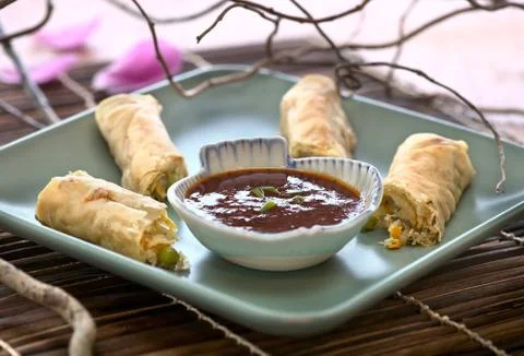 Well prepared Spring Rolls Stock Photos