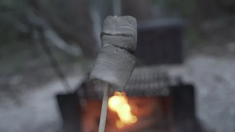 Well Toasted Marshmallows in Front Of Fire - Camping Outdoors Stock Footage 160302202