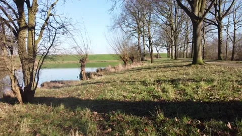 A well-trodden path that leads to the water of a lake and a view. 動画素材 302081689