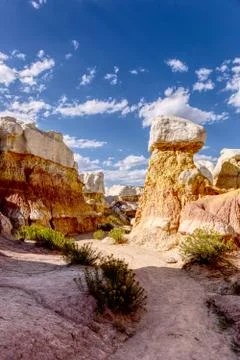 A Well Trodden Path THrough the Paint Mines Fotos Stock