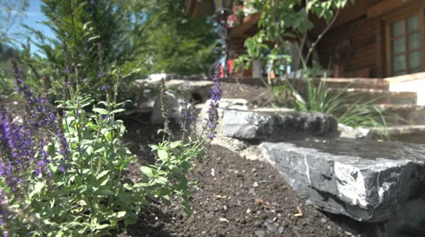 Well Wealth 2 Video stock 27547465