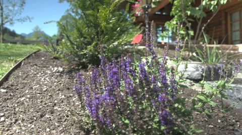 Well Welth Video stock 27546489