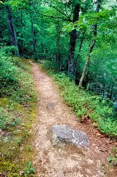 Well Worn Foot Path in the Ozarks Stock Photos
