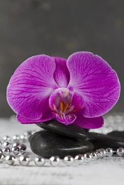 Wellbeing Stock Photos