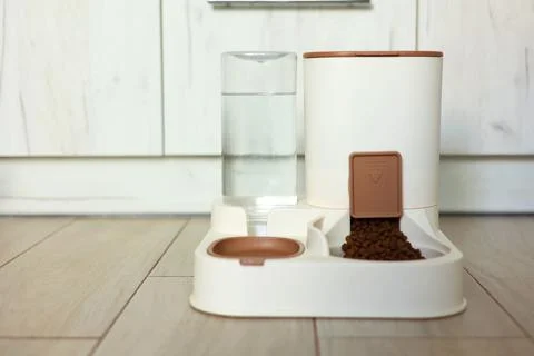 A welldesigned Pet Feeding Station that includes both Water and Food Dispenser Stock Photos