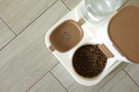 A welldesigned Pet Feeding Station that includes both Water and Food Dispenser Foto stock