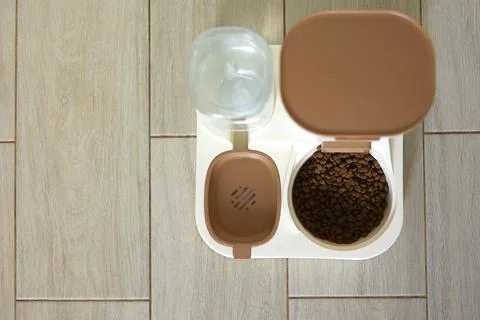 A welldesigned Pet Feeding Station that includes both Water and Food Dispenser Foto stock