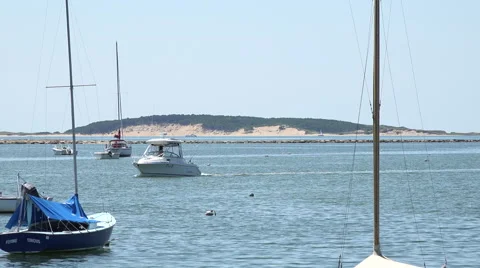 Wellfleet Harbor, MA Cape Cod Stock Footage 41307101