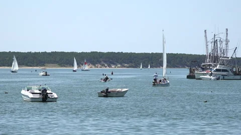 Wellfleet Harbor, MA Stock Footage 41307806