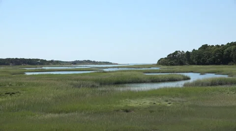 Wellfleet, MA Stock Footage 41307188