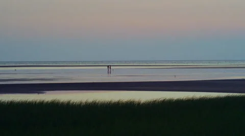 Wellfleet tidal flats with beachcombers at sunset Video stock 40669196