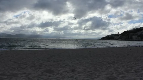 Wellington Beach Stock Footage