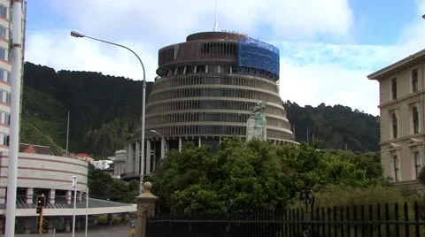 Wellington Beehive Video stock 45271859