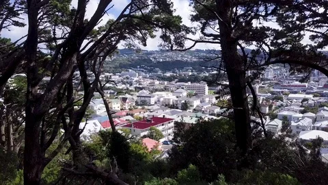 Wellington NZ From Pine Forest On Mount Victoria 動画素材 87863438