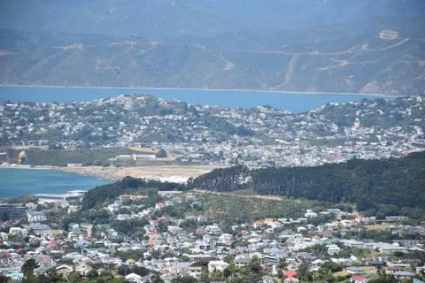 Wellington Stock Photos