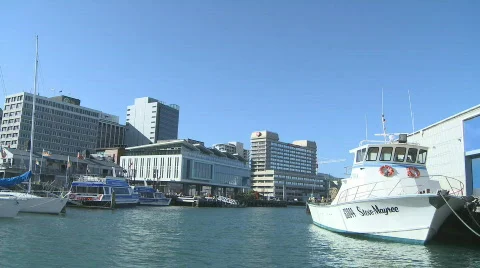 Wellington waterfront Stock Footage 307016
