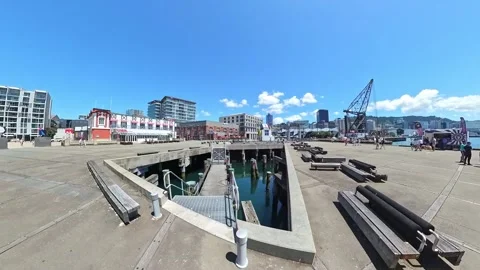 Wellington Waterfront Stock-Footage 229674221