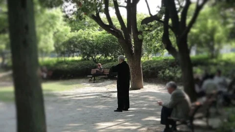 Wellness classes in the park. Stock Footage 84084234