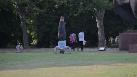 Wellness classes in the park. Stock Footage 84086111