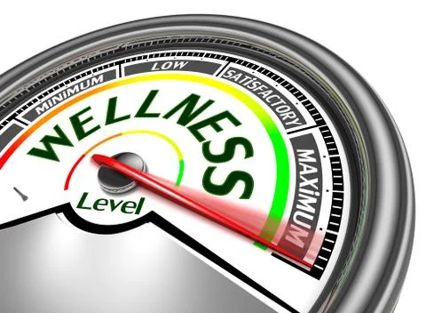 Wellness conceptual meter Stock Illustration