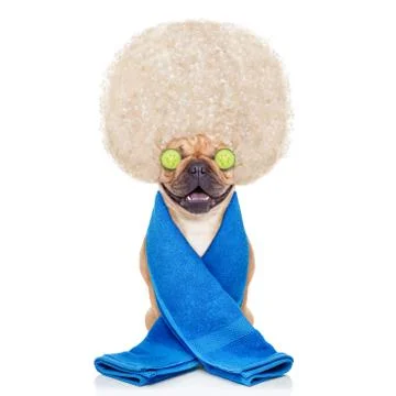 Wellness dog Фото