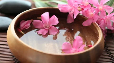 Wellness Stock Footage 1103213