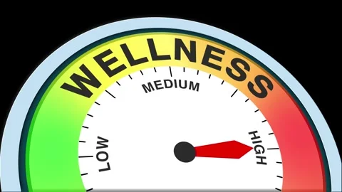 Wellness Level Text or Word  Low and Medium to High Meter Concept Animation Stock Footage 288631951