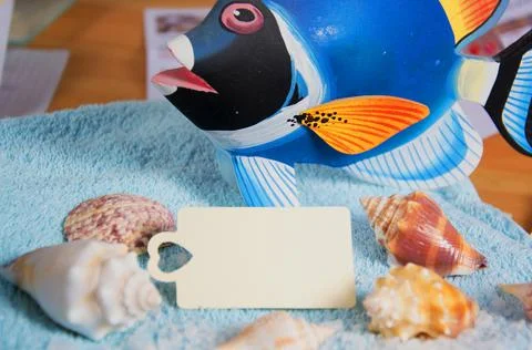 Wellness Stock Photos