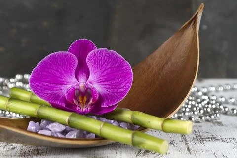 Wellness Stock Photos