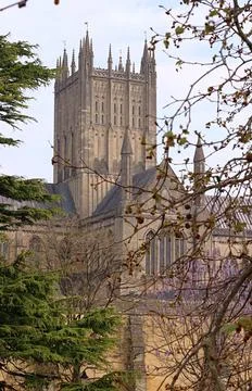 Wells cathedral through the trees Stock Photos