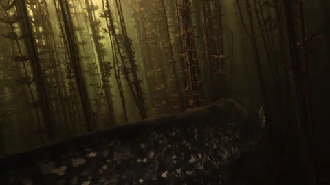 Wels catfish seen from three quarter rear swimming through dense milfoil growth Stock Footage 346560857