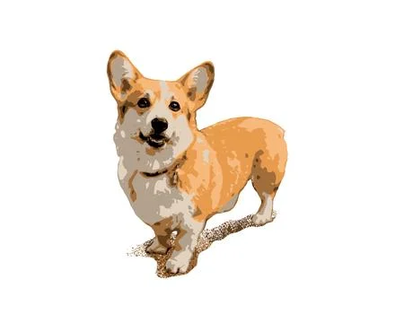 Welsh Corgi Dog Vector Illustration on White Background Stock Illustration